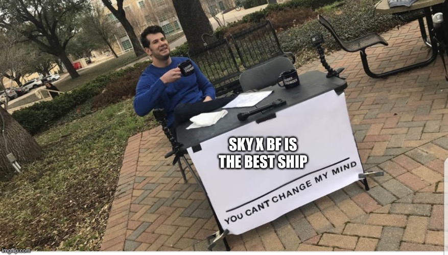 You cant change my mind | SKY X BF IS THE BEST SHIP | image tagged in you cant change my mind | made w/ Imgflip meme maker