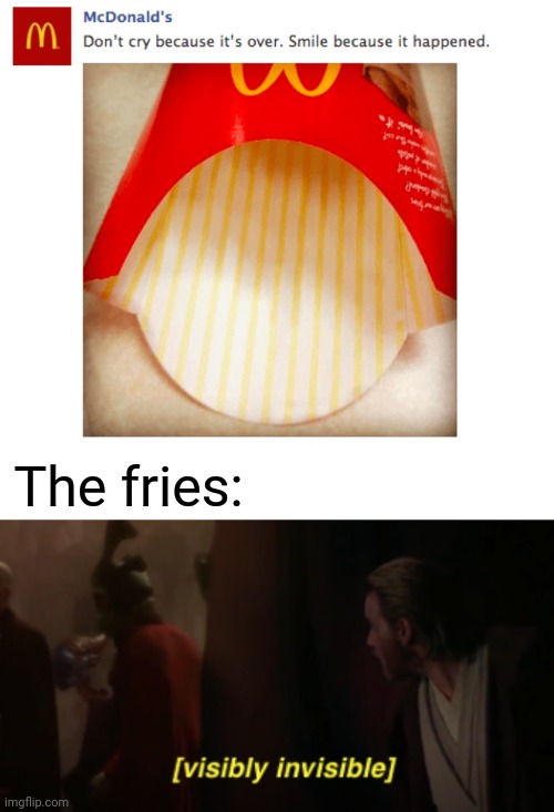 Non-existent fries | The fries: | image tagged in visibly invisible,mcdonalds,mcdonald's,french fries,fries,memes | made w/ Imgflip meme maker