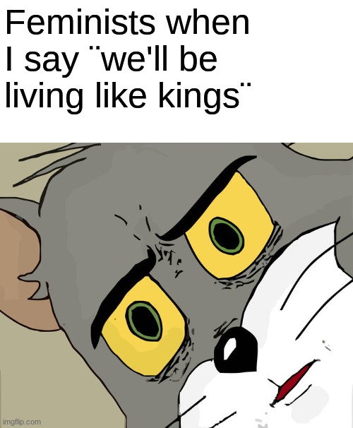 Unsettled Tom | Feminists when I say ¨we'll be living like kings¨ | image tagged in memes,unsettled tom | made w/ Imgflip meme maker