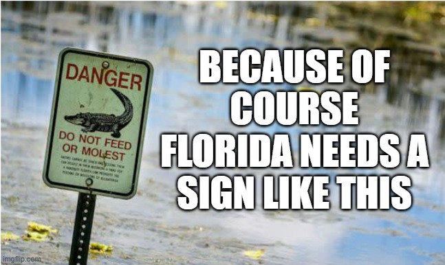 Florida Man, Florida Man, dumb as a rock with a Florida plan | BECAUSE OF COURSE FLORIDA NEEDS A SIGN LIKE THIS | image tagged in florida man | made w/ Imgflip meme maker