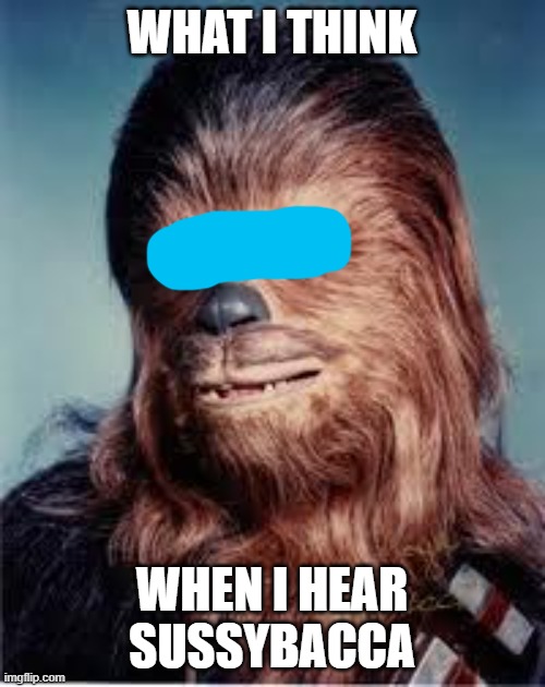 chewbacca | WHAT I THINK WHEN I HEAR SUSSYBACCA | image tagged in chewbacca | made w/ Imgflip meme maker