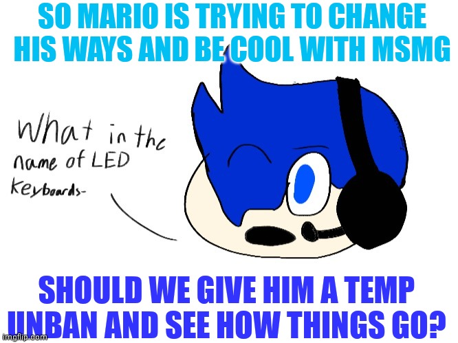 What in the name of LED keyboards- | SO MARIO IS TRYING TO CHANGE HIS WAYS AND BE COOL WITH MSMG; SHOULD WE GIVE HIM A TEMP UNBAN AND SEE HOW THINGS GO? | image tagged in what in the name of led keyboards- | made w/ Imgflip meme maker