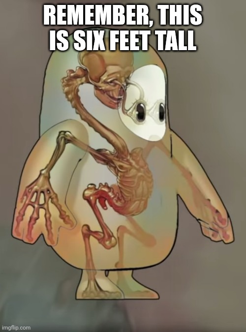 Fall guys skeleton | REMEMBER, THIS IS SIX FEET TALL | image tagged in fall guys skeleton | made w/ Imgflip meme maker