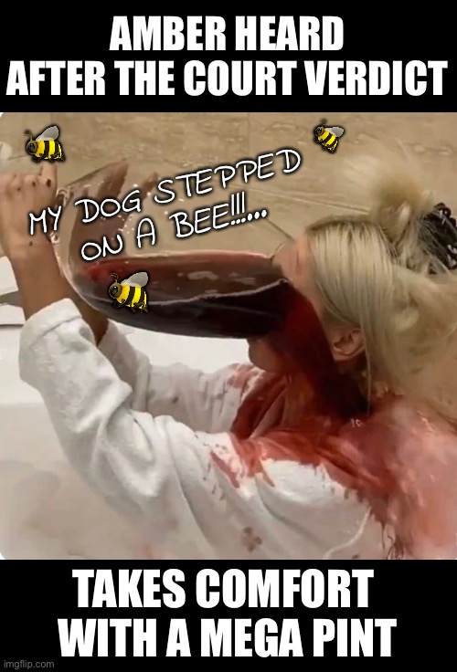 Mega Pint | AMBER HEARD AFTER THE COURT VERDICT; 🐝; 🐝; MY DOG STEPPED ON A BEE!!!... 🐝; TAKES COMFORT 
WITH A MEGA PINT | image tagged in amber | made w/ Imgflip meme maker