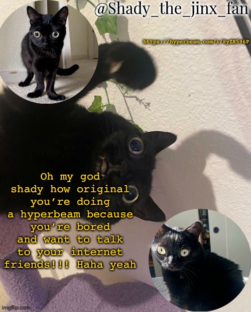 https://hyperbeam.com/i/8yZR596P | https://hyperbeam.com/i/8yZR596P; Oh my god shady how original you’re doing a hyperbeam because you’re bored and want to talk to your internet friends!!! Haha yeah | image tagged in shady s jinx temp once agaun thanks ishowsun | made w/ Imgflip meme maker