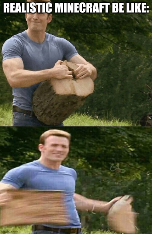 Man splits log | REALISTIC MINECRAFT BE LIKE: | image tagged in man splits log | made w/ Imgflip meme maker