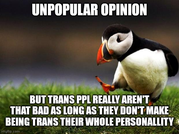 And if they don't have weird af pronouns | UNPOPULAR OPINION; BUT TRANS PPL REALLY AREN'T THAT BAD AS LONG AS THEY DON'T MAKE BEING TRANS THEIR WHOLE PERSONALLITY | image tagged in memes,unpopular opinion puffin | made w/ Imgflip meme maker