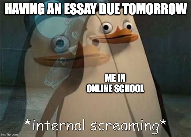 Private Internal Screaming | HAVING AN ESSAY DUE TOMORROW; ME IN ONLINE SCHOOL | image tagged in private internal screaming | made w/ Imgflip meme maker