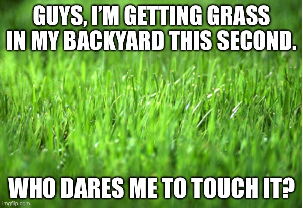 Grass | GUYS, I’M GETTING GRASS IN MY BACKYARD THIS SECOND. WHO DARES ME TO TOUCH IT? | image tagged in toouuuuuuchiiiiinnngggg graaas | made w/ Imgflip meme maker