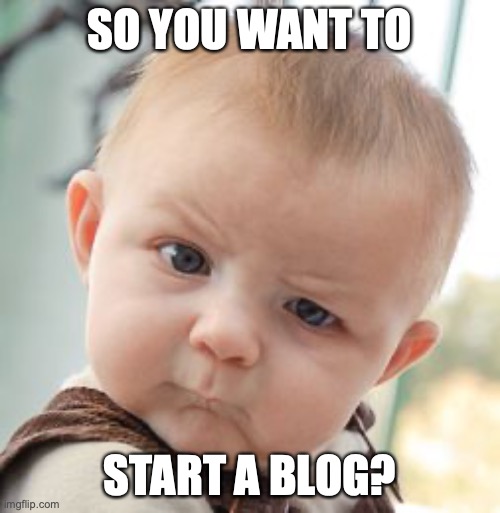 so you want to start a blog? | SO YOU WANT TO; START A BLOG? | image tagged in memes,skeptical baby | made w/ Imgflip meme maker