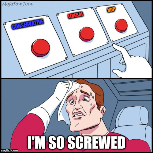 Ontario Votes | NDP; LIBERAL; CONSERVATIVE; I'M SO SCREWED | image tagged in three-button template,ontario,voting,election,2022,canada | made w/ Imgflip meme maker