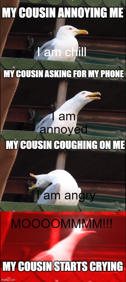 Relatives | MY COUSIN ANNOYING ME; I am chill; MY COUSIN ASKING FOR MY PHONE; I am annoyed; MY COUSIN COUGHING ON ME; I am angry; MOOOOMMMM!!! MY COUSIN STARTS CRYING | image tagged in memes,inhaling seagull | made w/ Imgflip meme maker
