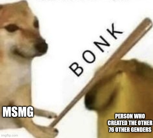 Bonk | MSMG; PERSON WHO CREATED THE OTHER 76 OTHER GENDERS | image tagged in bonk | made w/ Imgflip meme maker