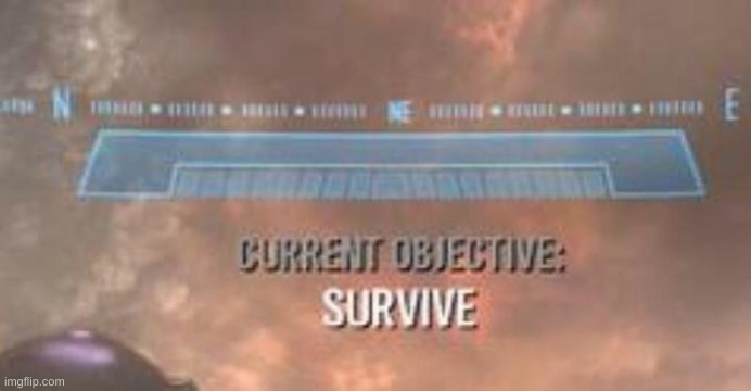 Current Objective: Survive | image tagged in current objective survive | made w/ Imgflip meme maker