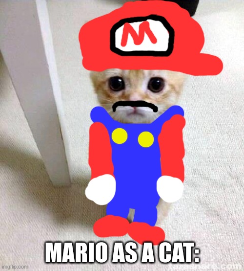 mario as a cat | MARIO AS A CAT: | image tagged in memes,cute cat,aww | made w/ Imgflip meme maker