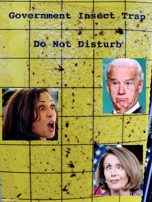 Pests to be Caught | image tagged in liberals,democrats,leftists,congress,biden,harris | made w/ Imgflip meme maker