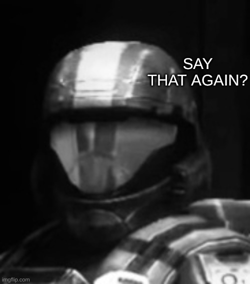 Halo 3 ODST The Rookie | SAY THAT AGAIN? | image tagged in halo 3 odst the rookie | made w/ Imgflip meme maker