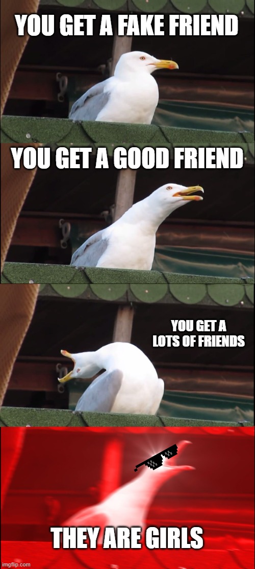 Woah his boy has a lots of girl friends | YOU GET A FAKE FRIEND; YOU GET A GOOD FRIEND; YOU GET A LOTS OF FRIENDS; THEY ARE GIRLS | image tagged in memes,inhaling seagull | made w/ Imgflip meme maker