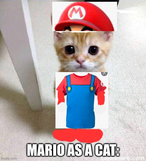 mario as a cat | MARIO AS A CAT: | image tagged in memes,cute cat,aww | made w/ Imgflip meme maker