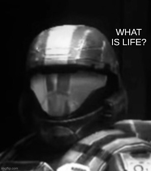 Halo 3 ODST The Rookie | WHAT IS LIFE? | image tagged in halo 3 odst the rookie | made w/ Imgflip meme maker