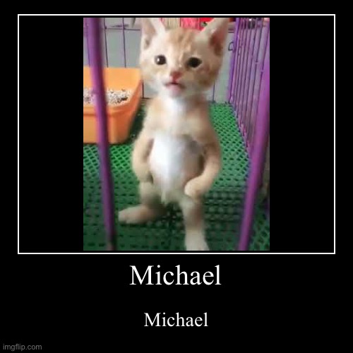 Michael | image tagged in michael,michaels | made w/ Imgflip demotivational maker