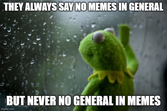 discord | THEY ALWAYS SAY NO MEMES IN GENERAL; BUT NEVER NO GENERAL IN MEMES | image tagged in kermit window | made w/ Imgflip meme maker
