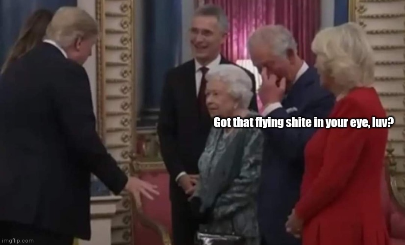 Trumppoo & The Prince | Got that flying shite in your eye, luv? | image tagged in funny | made w/ Imgflip meme maker