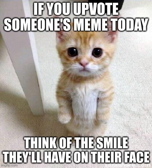 This is not upvote begging. I just want to make people happy. | IF YOU UPVOTE SOMEONE'S MEME TODAY; THINK OF THE SMILE THEY'LL HAVE ON THEIR FACE | image tagged in memes,cute cat | made w/ Imgflip meme maker