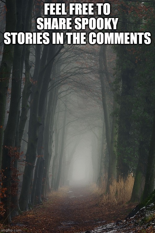 i will check on it tomorrow | FEEL FREE TO SHARE SPOOKY STORIES IN THE COMMENTS | made w/ Imgflip meme maker