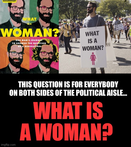 Keep it clean, and also science based please. Explain your answer. | THIS QUESTION IS FOR EVERYBODY ON BOTH SIDES OF THE POLITICAL AISLE…; WHAT IS A WOMAN? | image tagged in what is a woman,ConservativesOnly | made w/ Imgflip meme maker
