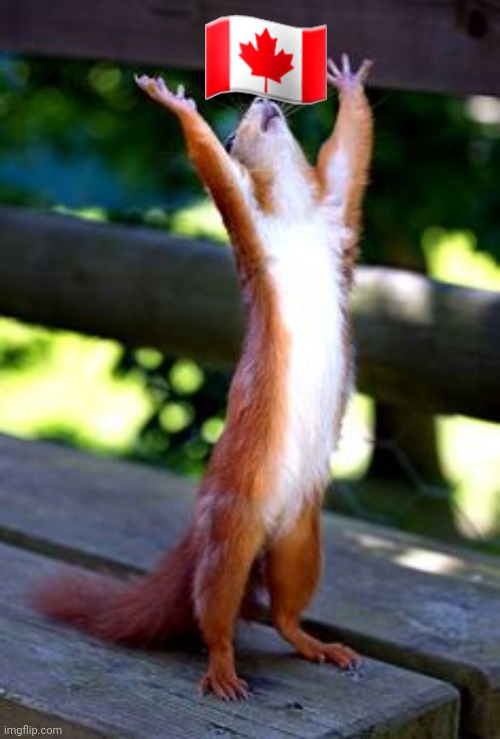 Praise God squirrel | ?? | image tagged in praise god squirrel | made w/ Imgflip meme maker
