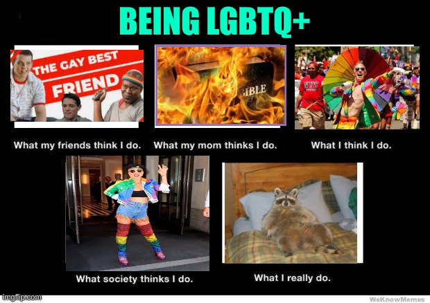 :) | BEING LGBTQ+ | image tagged in what i really do,lgbt,racoon,trash panda | made w/ Imgflip meme maker