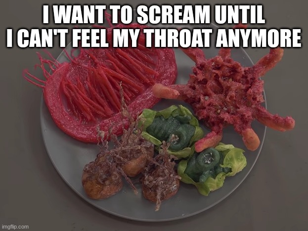 Roast Flesh Nut | I WANT TO SCREAM UNTIL I CAN'T FEEL MY THROAT ANYMORE | image tagged in roast flesh nut | made w/ Imgflip meme maker
