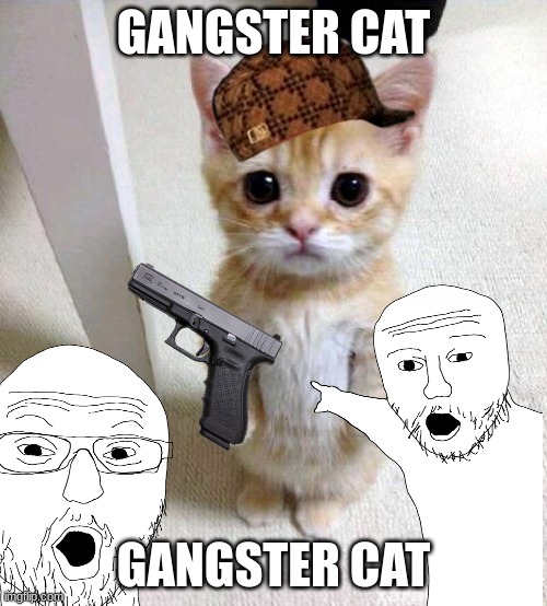 Gangster Cat | GANGSTER CAT; GANGSTER CAT | image tagged in funni | made w/ Imgflip meme maker