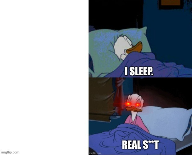 High Quality I sleep real shit Blank Meme Template