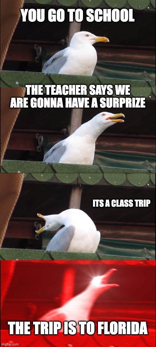 School trip meme | YOU GO TO SCHOOL; THE TEACHER SAYS WE ARE GONNA HAVE A SURPRIZE; ITS A CLASS TRIP; THE TRIP IS TO FLORIDA | image tagged in memes,inhaling seagull | made w/ Imgflip meme maker