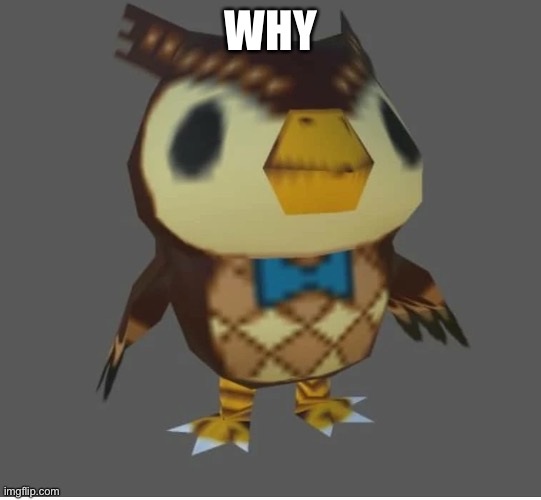 Why | WHY | image tagged in animal crossing | made w/ Imgflip meme maker