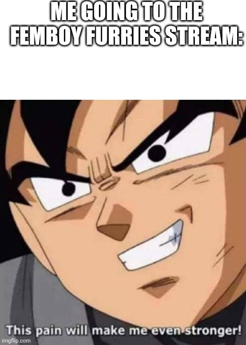I am going insane | ME GOING TO THE FEMBOY FURRIES STREAM: | image tagged in this pain will make me even stronger,help me,no i am not jacking off | made w/ Imgflip meme maker