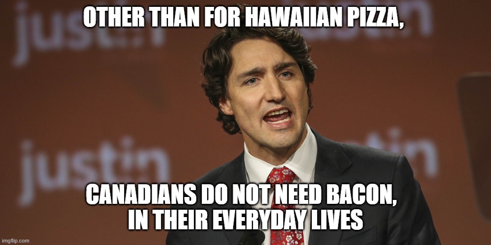 Justin Trudeau | OTHER THAN FOR HAWAIIAN PIZZA, CANADIANS DO NOT NEED BACON,  
IN THEIR EVERYDAY LIVES | image tagged in justin trudeau | made w/ Imgflip meme maker