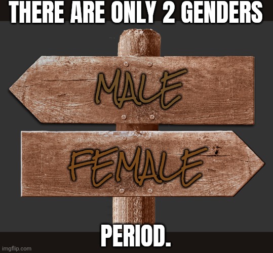 give me a reason not to post this in lgbt | THERE ARE ONLY 2 GENDERS; MALE; FEMALE; PERIOD. | image tagged in road sign | made w/ Imgflip meme maker