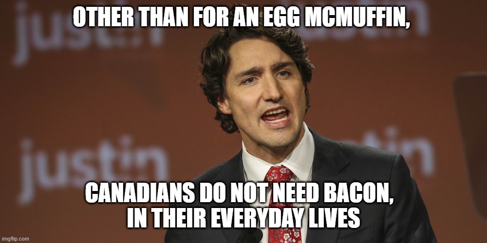 Justin Trudeau - Imgflip