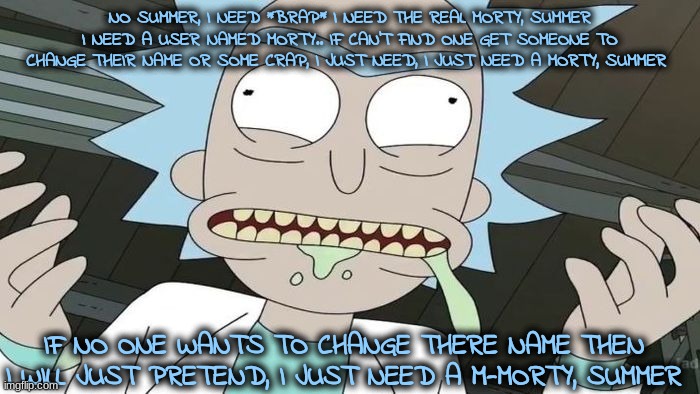 NO SUMMER, I NEED *BRAP* I NEED THE REAL MORTY, SUMMER I NEED A USER NAMED MORTY.. IF CAN'T FIND ONE GET SOMEONE TO CHANGE THEIR NAME OR SOM | made w/ Imgflip meme maker