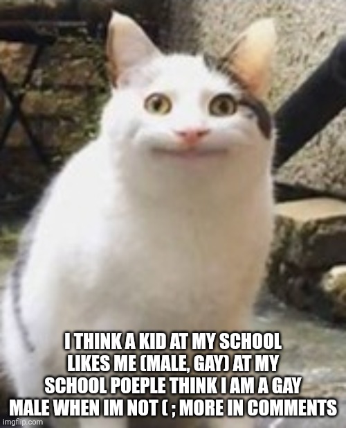 hhhhhhhmmmmmmmmm | I THINK A KID AT MY SCHOOL LIKES ME (MALE, GAY) AT MY SCHOOL POEPLE THINK I AM A GAY MALE WHEN IM NOT ( ; MORE IN COMMENTS | image tagged in beluga cat sus | made w/ Imgflip meme maker