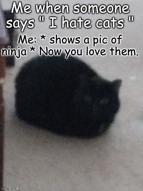 Low quality loaf again lmao | Me when someone says " I hate cats "; Me: * shows a pic of ninja * Now you love them. | image tagged in low quality ninja | made w/ Imgflip meme maker