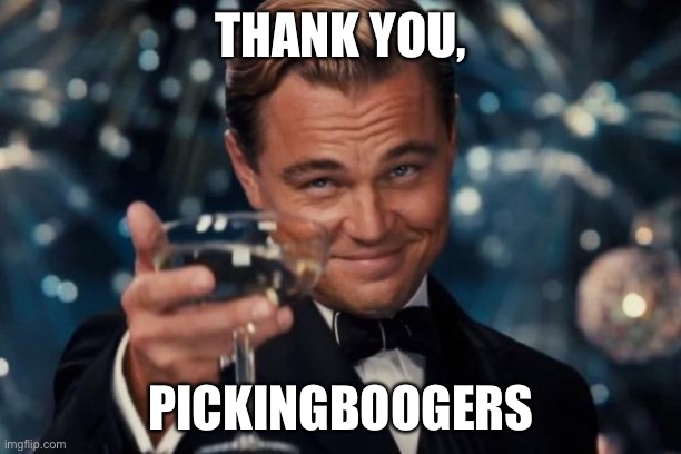 Leonardo Dicaprio Cheers Meme | THANK YOU, PICKINGBOOGERS | image tagged in memes,leonardo dicaprio cheers | made w/ Imgflip meme maker