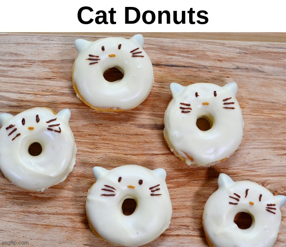 Cat Donuts look good. | Cat Donuts | image tagged in cat donuts,penguins | made w/ Imgflip meme maker