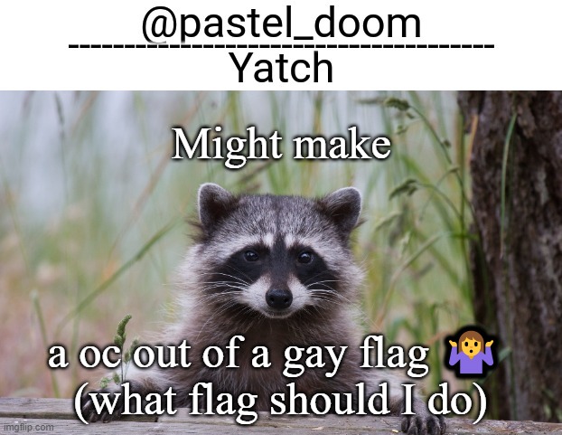 Yachi's raccoon temp (thank you Badoo) | Might make; a oc out of a gay flag 🤷‍♀️ 
(what flag should I do) | image tagged in yachi's raccoon temp thank you badoo | made w/ Imgflip meme maker
