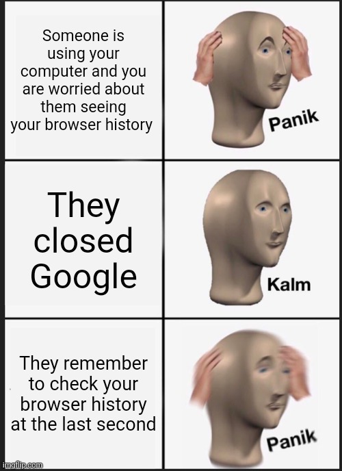 Browser History | Someone is using your computer and you are worried about them seeing your browser history; They closed Google; They remember to check your browser history at the last second | image tagged in memes,panik kalm panik | made w/ Imgflip meme maker