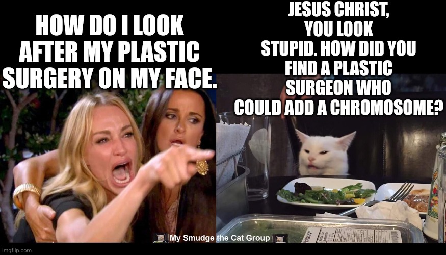 JESUS CHRIST, YOU LOOK STUPID. HOW DID YOU FIND A PLASTIC SURGEON WHO COULD ADD A CHROMOSOME? HOW DO I LOOK AFTER MY PLASTIC SURGERY ON MY FACE. | image tagged in smudge the cat,woman yelling at cat | made w/ Imgflip meme maker