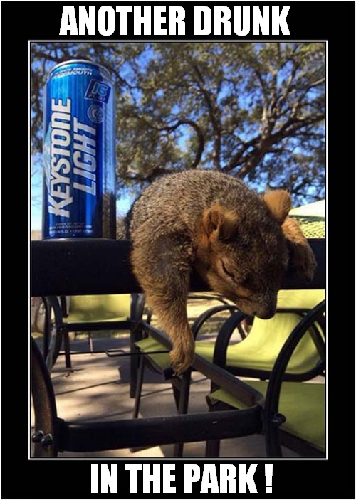 What A Sad World We Live In ! |  ANOTHER DRUNK; IN THE PARK ! | image tagged in fun,drunk,squirrel,park | made w/ Imgflip meme maker